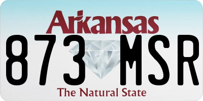AR license plate 873MSR