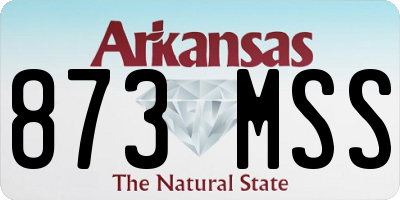 AR license plate 873MSS