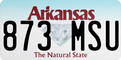 AR license plate 873MSU