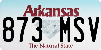 AR license plate 873MSV