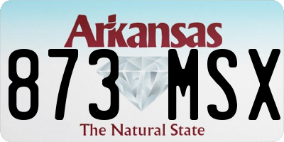 AR license plate 873MSX