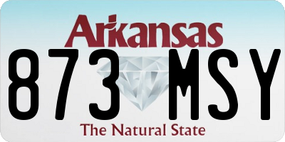 AR license plate 873MSY