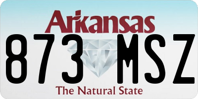 AR license plate 873MSZ