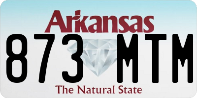 AR license plate 873MTM