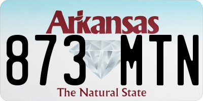 AR license plate 873MTN