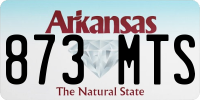 AR license plate 873MTS