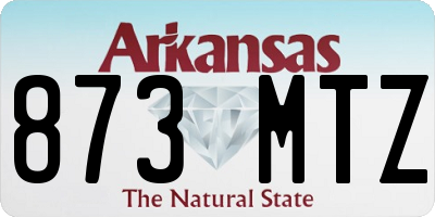 AR license plate 873MTZ