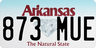 AR license plate 873MUE