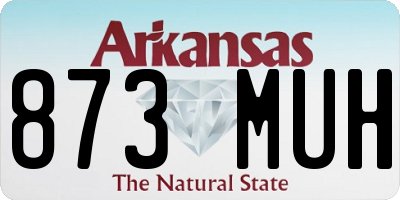 AR license plate 873MUH