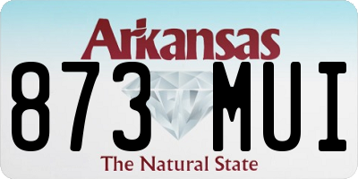 AR license plate 873MUI