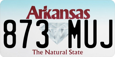 AR license plate 873MUJ