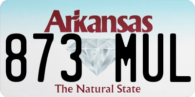 AR license plate 873MUL