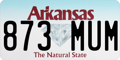 AR license plate 873MUM