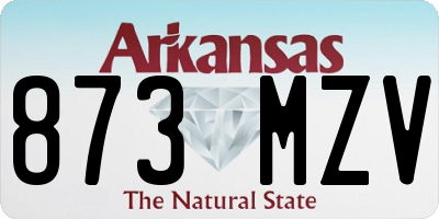 AR license plate 873MZV