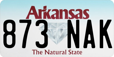 AR license plate 873NAK