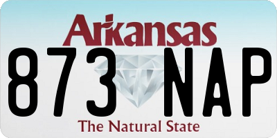 AR license plate 873NAP