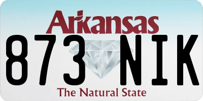 AR license plate 873NIK