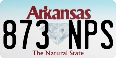 AR license plate 873NPS