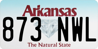 AR license plate 873NWL