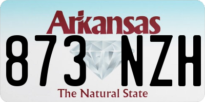 AR license plate 873NZH