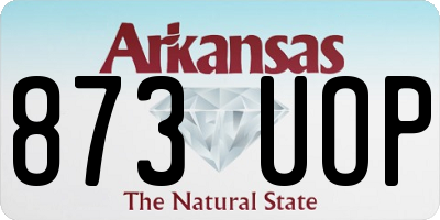 AR license plate 873UOP
