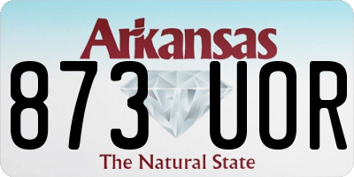 AR license plate 873UOR