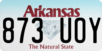 AR license plate 873UOY