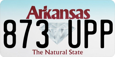 AR license plate 873UPP