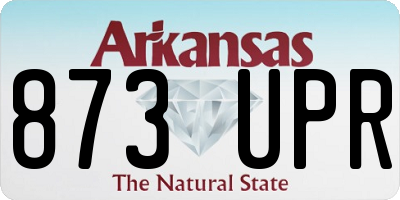AR license plate 873UPR