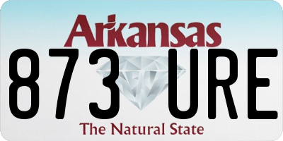 AR license plate 873URE
