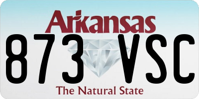 AR license plate 873VSC