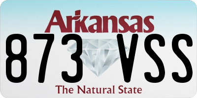 AR license plate 873VSS