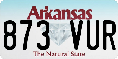 AR license plate 873VUR