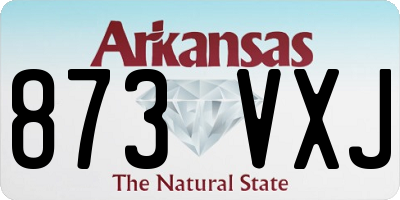 AR license plate 873VXJ