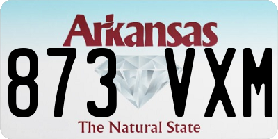 AR license plate 873VXM