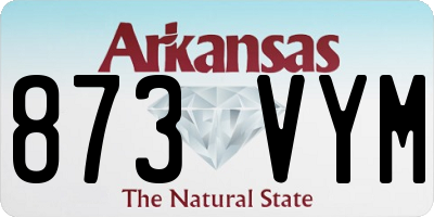 AR license plate 873VYM