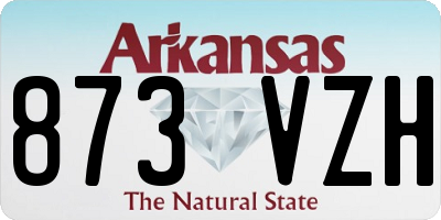 AR license plate 873VZH