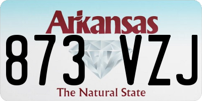 AR license plate 873VZJ