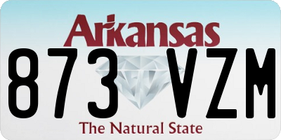 AR license plate 873VZM