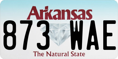 AR license plate 873WAE