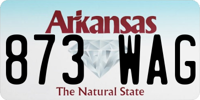 AR license plate 873WAG