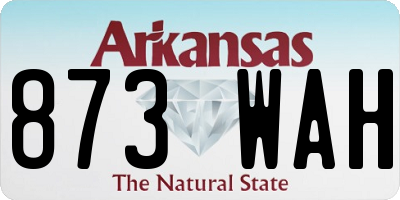 AR license plate 873WAH