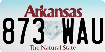 AR license plate 873WAU