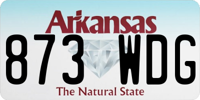 AR license plate 873WDG