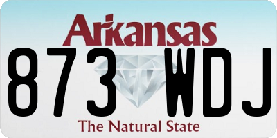 AR license plate 873WDJ