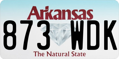 AR license plate 873WDK