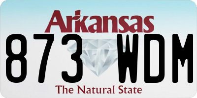 AR license plate 873WDM