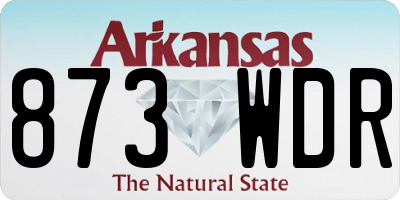 AR license plate 873WDR