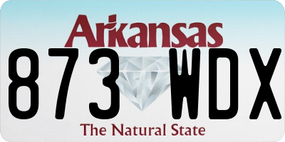 AR license plate 873WDX