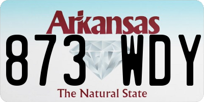 AR license plate 873WDY